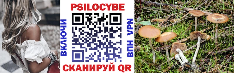 Псилоцибиновые грибы мицелий blacksprut сайт Набережные Челны